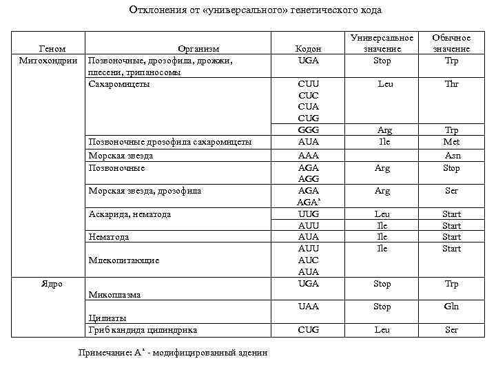 Отклонения от «универсального» генетического кода Геном Митохондрии Организм Позвоночные, дрозофила, дрожжи, плесени, трипаносомы Сахаромицеты