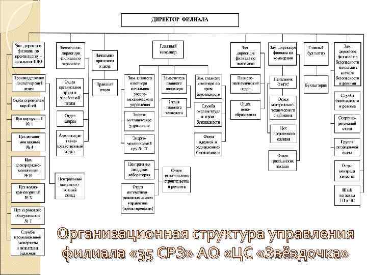 Организационная структура управления филиала « 35 СРЗ» АО «ЦС «Звёздочка» 