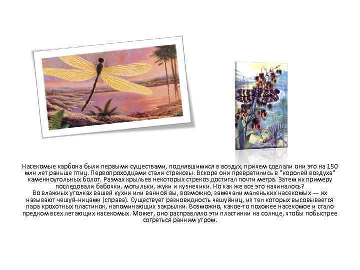Насекомые карбона были первыми существами, поднявшимися в воздух, причем сделали они это на 150