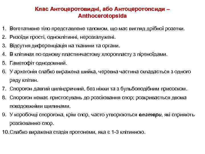 Клас Антоцеротовидні, або Антоцеротопсиди – Anthocerotopsida 1. Вегетативне тіло представлене таломом, що має вигляд