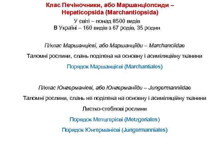 Клас Печіночники, або Маршанціопсиди – Hepaticopsida (Marchantiopsida) У світі – понад 8500 видів В