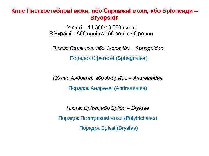 Клас Листкостеблові мохи, або Справжні мохи, або Бріопсиди – Bryopsida У світі – 14