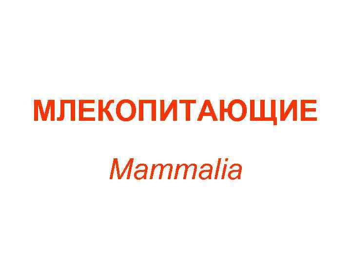 МЛЕКОПИТАЮЩИЕ Mammalia 