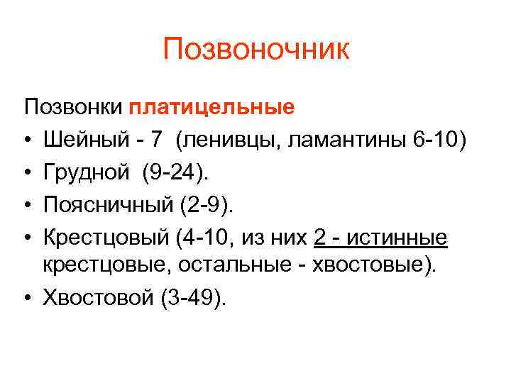 Позвоночник Позвонки платицельные • Шейный - 7 (ленивцы, ламантины 6 -10) • Грудной (9