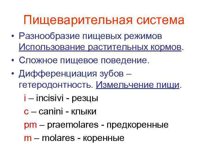 Пищеварительная система • Разнообразие пищевых режимов Использование растительных кормов. • Сложное пищевое поведение. •