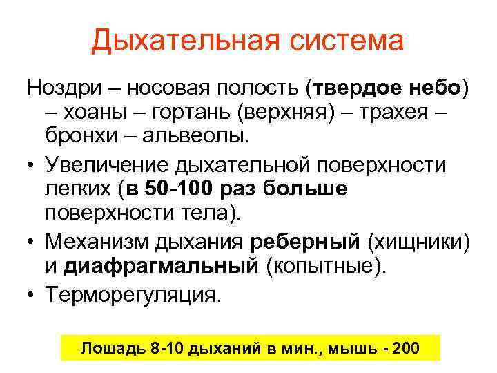 Дыхательная система Ноздри – носовая полость (твердое небо) – хоаны – гортань (верхняя) –