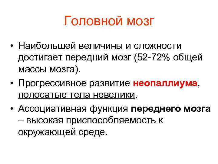 Головной мозг • Наибольшей величины и сложности достигает передний мозг (52 -72% общей массы