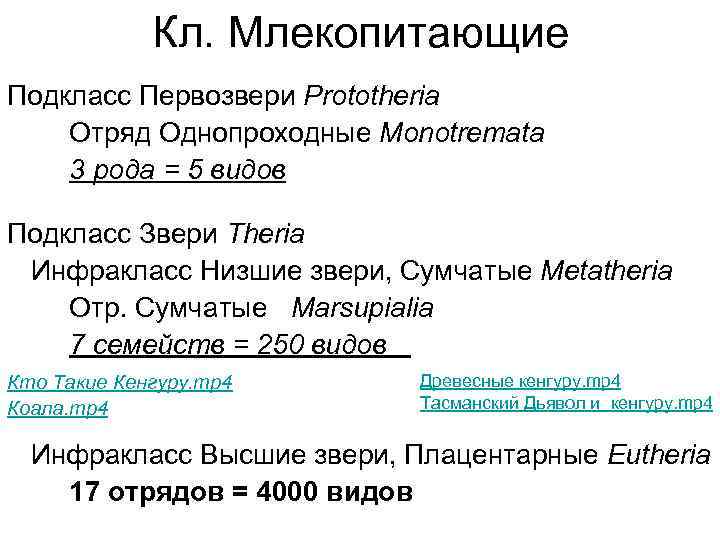 Кл. Млекопитающие Подкласс Первозвери Prototheria Отряд Однопроходные Monotremata 3 рода = 5 видов Подкласс