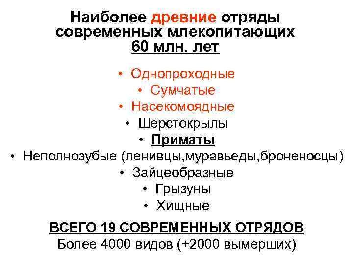 Наиболее древние отряды современных млекопитающих 60 млн. лет • Однопроходные • Сумчатые • Насекомоядные