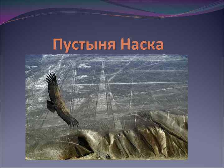 Пустыня Наска 