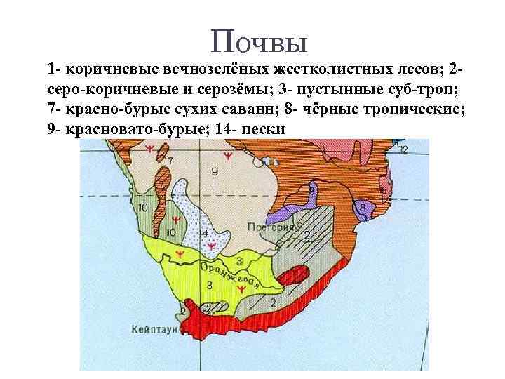 Почвы 1 - коричневые вечнозелёных жестколистных лесов; 2 серо-коричневые и серозёмы; 3 - пустынные