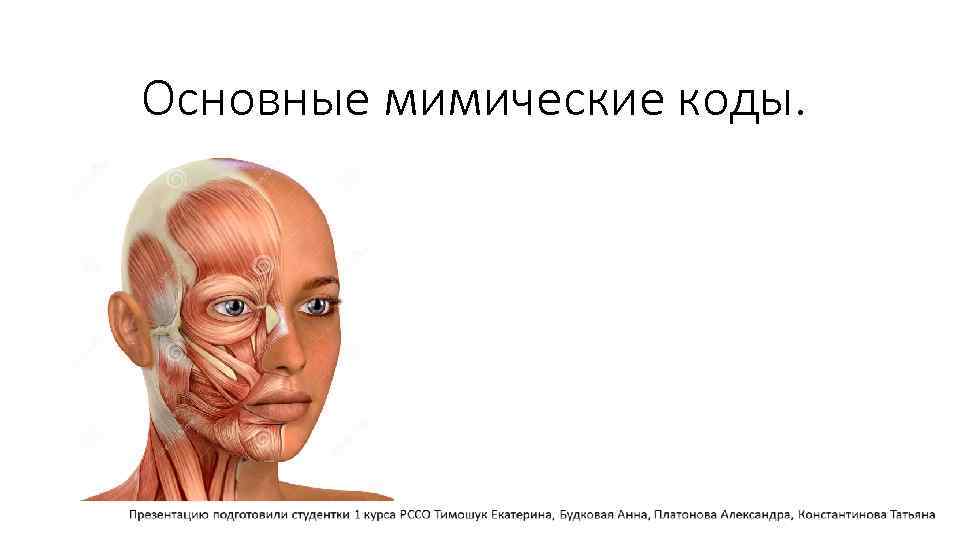 Основные мимические коды. 