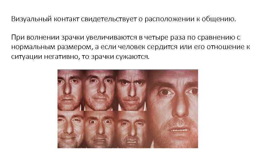Визуальный контакт свидетельствует о расположении к общению. При волнении зрачки увеличиваются в четыре раза