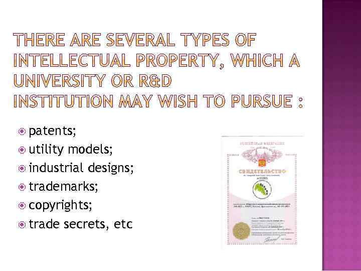  patents; utility models; industrial designs; trademarks; copyrights; trade secrets, etc 