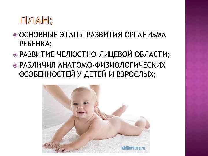  ОСНОВНЫЕ ЭТАПЫ РАЗВИТИЯ ОРГАНИЗМА РЕБЕНКА; РАЗВИТИЕ ЧЕЛЮСТНО-ЛИЦЕВОЙ ОБЛАСТИ; РАЗЛИЧИЯ АНАТОМО-ФИЗИОЛОГИЧЕСКИХ ОСОБЕННОСТЕЙ У ДЕТЕЙ