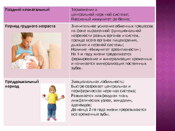 Поздний неонатальный Торможения в центральной нерв ной системе; Пассивный иммунитет ре бенка; Период грудного