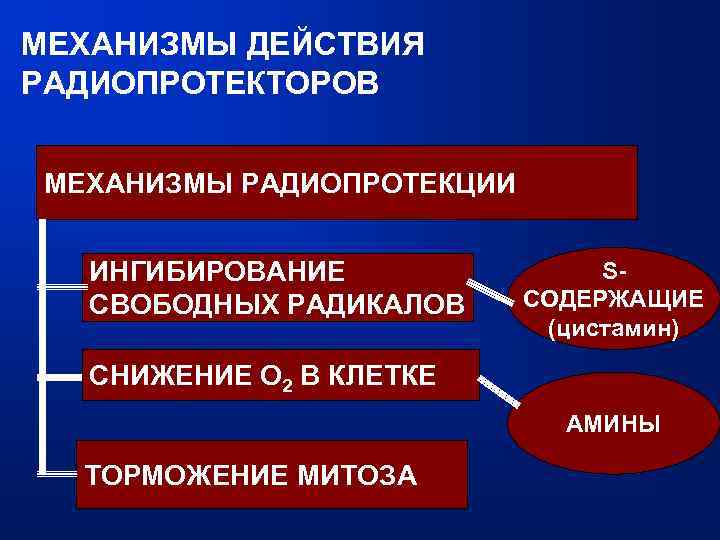 МЕХАНИЗМЫ ДЕЙСТВИЯ РАДИОПРОТЕКТОРОВ МЕХАНИЗМЫ РАДИОПРОТЕКЦИИ ИНГИБИРОВАНИЕ СВОБОДНЫХ РАДИКАЛОВ SСОДЕРЖАЩИЕ (цистамин) СНИЖЕНИЕ О 2 В