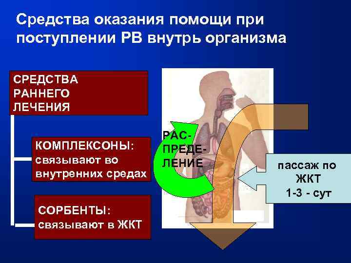 Средства оказания помощи при поступлении РВ внутрь организма СРЕДСТВА РАННЕГО ЛЕЧЕНИЯ КОМПЛЕКСОНЫ: связывают во