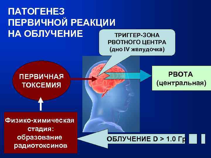 ПАТОГЕНЕЗ ПЕРВИЧНОЙ РЕАКЦИИ НА ОБЛУЧЕНИЕ ТРИГГЕР-ЗОНА РВОТНОГО ЦЕНТРА (дно IV желудочка) ПЕРВИЧНАЯ ТОКСЕМИЯ Физико-химическая