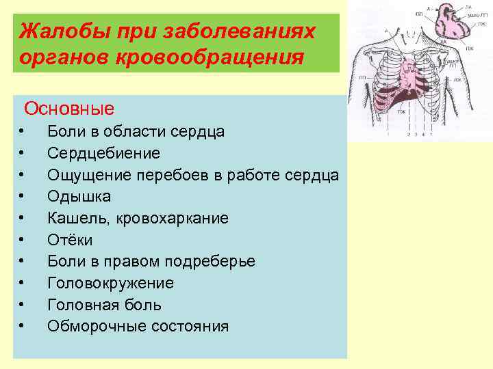 Причины болезни кровообращения