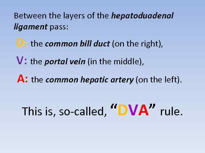 Between the layers of the hepatoduadenal ligament pass: D: the common bill duct (on