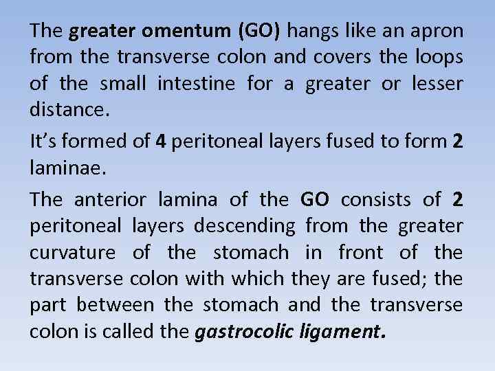 The greater omentum (GO) hangs like an apron from the transverse colon and covers