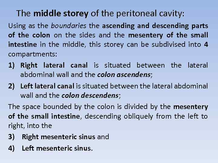 The middle storey of the peritoneal cavity: Using as the boundaries the ascending and