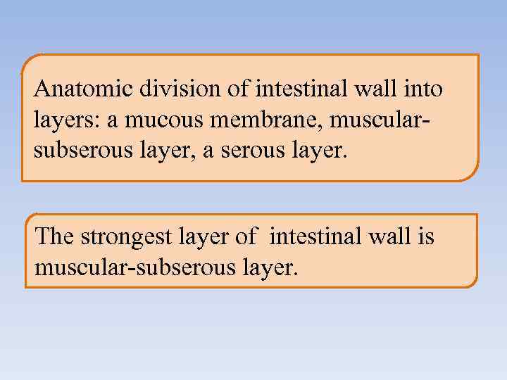 Anatomic division of intestinal wall into layers: a mucous membrane, muscular- subserous layer, a