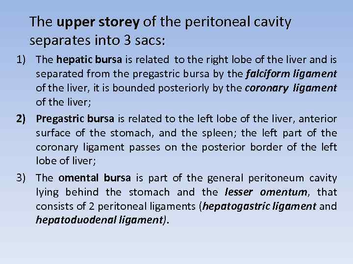 The upper storey of the peritoneal cavity separates into 3 sacs: 1) The hepatic