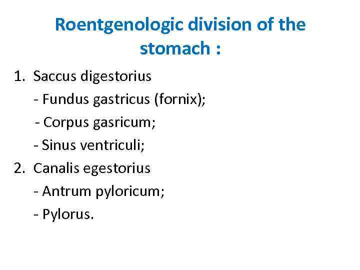 Roentgenologic division of the stomach : 1. Saccus digestorius - Fundus gastricus (fornix); -