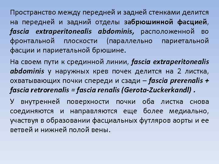 Пространство между передней и задней стенками делится на передней и задний отделы забрюшинной фасцией,