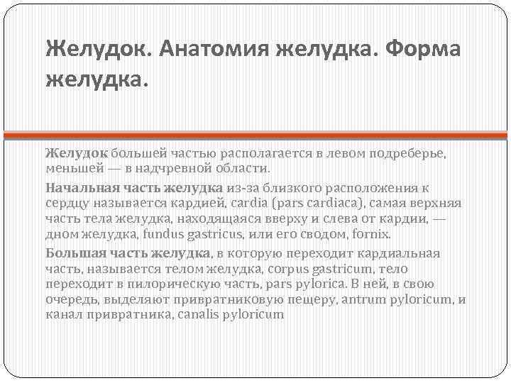 Желудок. Анатомия желудка. Форма желудка. Желудок большей частью располагается в левом подреберье, меньшей —