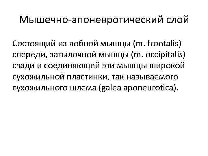 Мышечно-апоневротический слой Состоящий из лобной мышцы (m. frontalis) спереди, затылочной мышцы (m. occipitalis) сзади