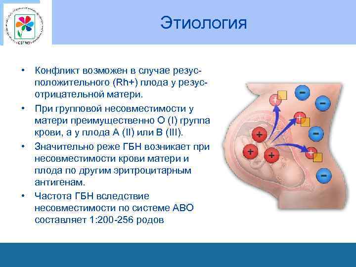 Этиология • Конфликт возможен в случае резусположительного (Rh+) плода у резусотрицательной матери. • При