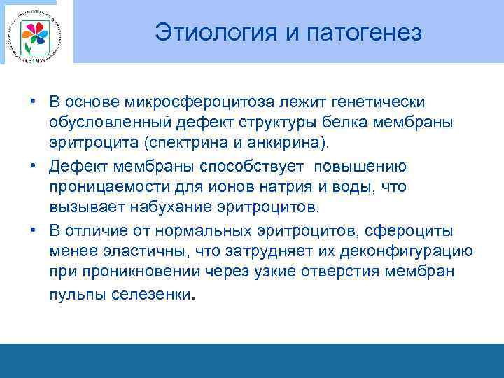 Этиология и патогенез • В основе микросфероцитоза лежит генетически обусловленный дефект структуры белка мембраны