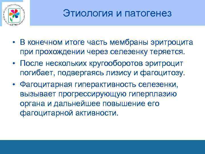 Этиология и патогенез • В конечном итоге часть мембраны эритроцита при прохождении через селезенку