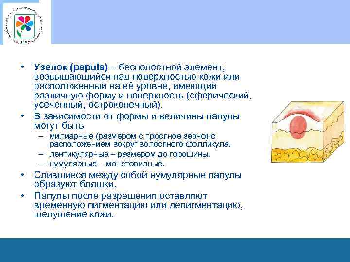  • Узелок (papula) – бесполостной элемент, возвышающийся над поверхностью кожи или расположенный на