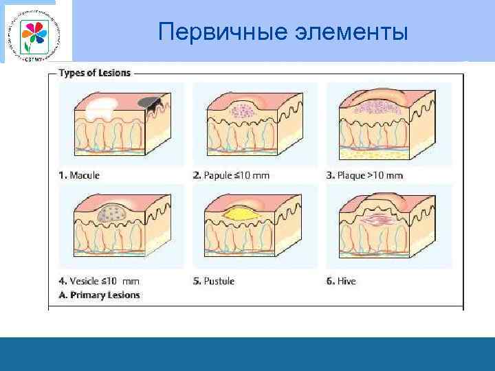 Первичные элементы 