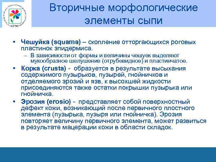 Вторичные морфологические элементы сыпи • Чешуйка (squama) – скопление отторгающихся роговых пластинок эпидермиса. –