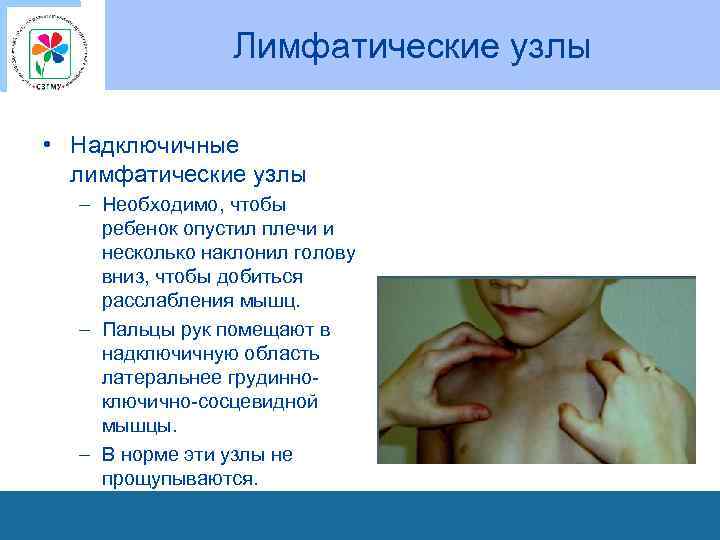 Лимфатические узлы • Надключичные лимфатические узлы – Необходимо, чтобы ребенок опустил плечи и несколько