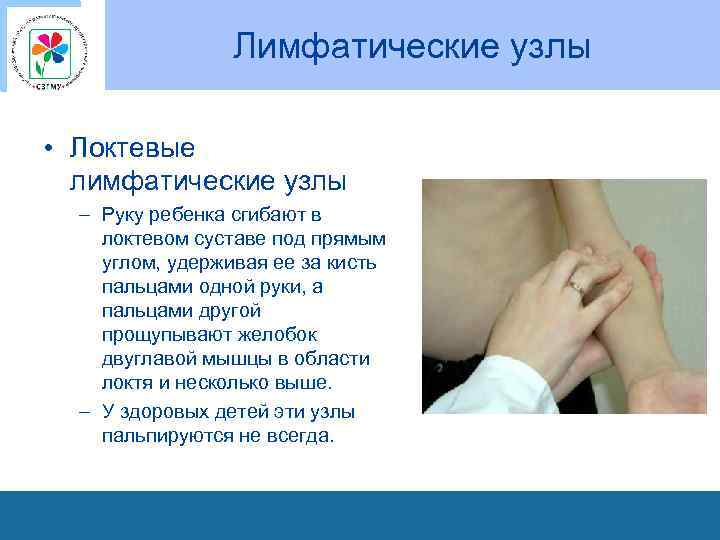 Лимфатические узлы • Локтевые лимфатические узлы – Руку ребенка сгибают в локтевом суставе под