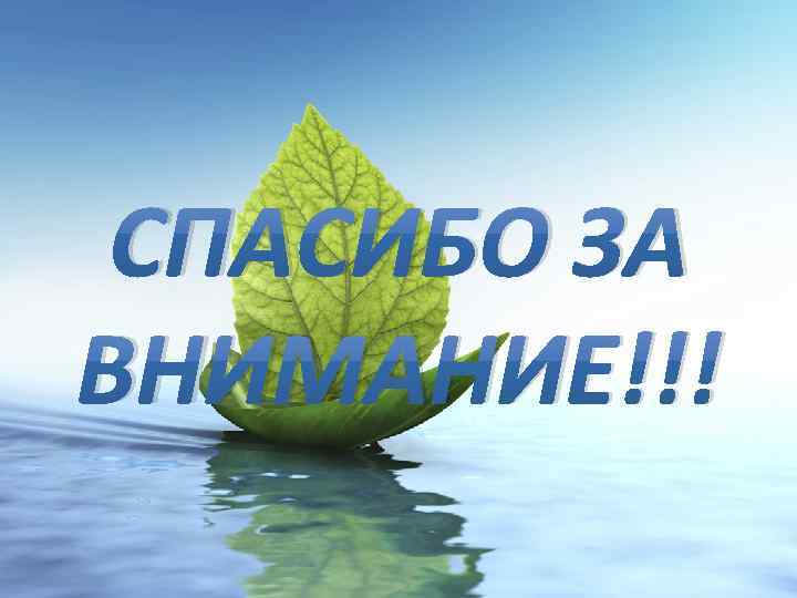 СПАСИБО ЗА ВНИМАНИЕ!!! 