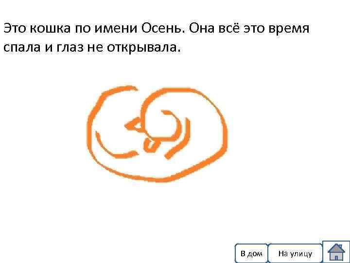 Это кошка по имени Осень. Она всё это время спала и глаз не открывала.