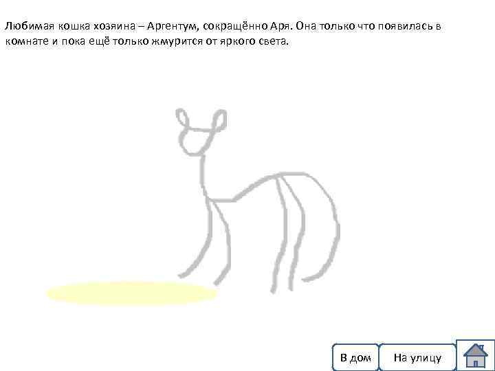 Любимая кошка хозяина – Аргентум, сокращённо Аря. Она только что появилась в комнате и