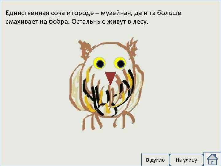 Единственная сова в городе – музейная, да и та больше смахивает на бобра. Остальные