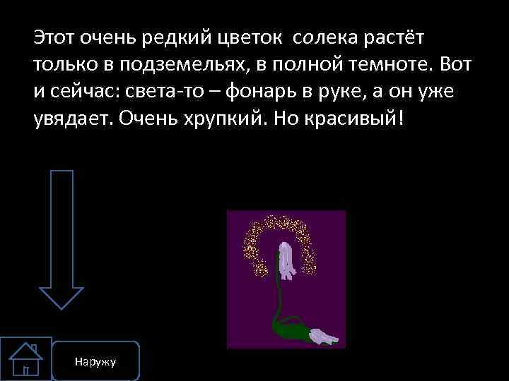 Этот очень редкий цветок солека растёт только в подземельях, в полной темноте. Вот и