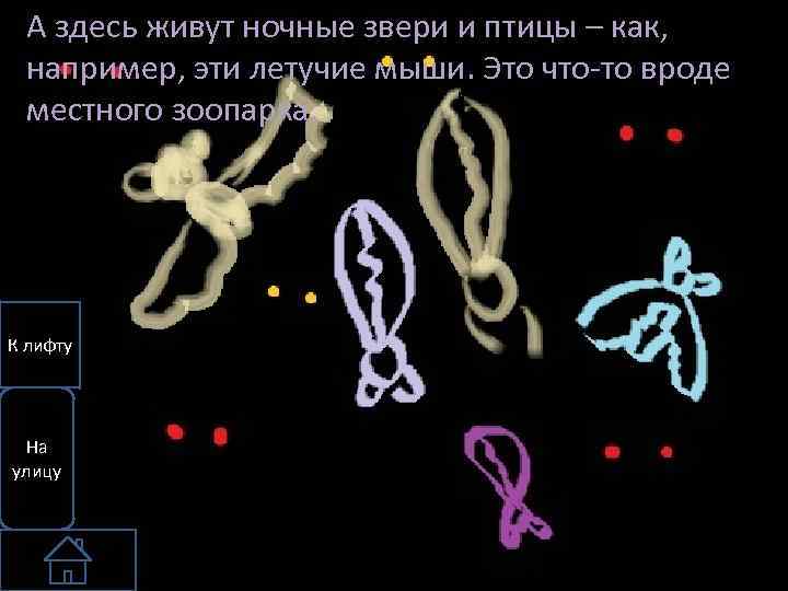 А здесь живут ночные звери и птицы – как, например, эти летучие мыши. Это