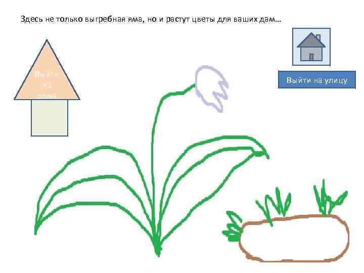 Здесь не только выгребная яма, но и растут цветы для ваших дам… Выйти из