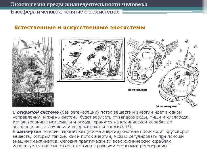 Экосистемы среды жизнедеятельности человека Биосфера и человек, понятие о экосистемах Естественные и искусственные экосистемы