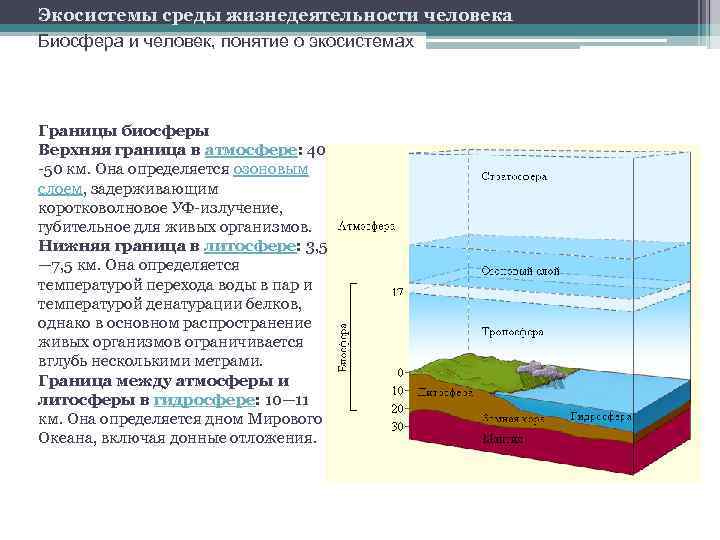 Экосистемы среды жизнедеятельности человека Биосфера и человек, понятие о экосистемах Границы биосферы Верхняя граница